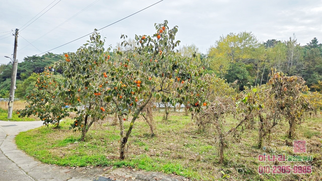 ★토지 옆으로 계곡물 흐름 → 사계절 물소리 들리는 힐링 토지(답)