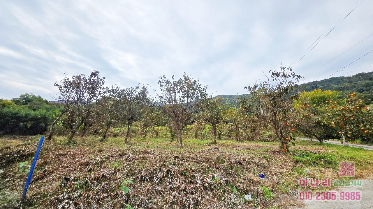 ★토지 옆으로 계곡물 흐름 → 사계절 물소리 들리는 힐링 토지(답)